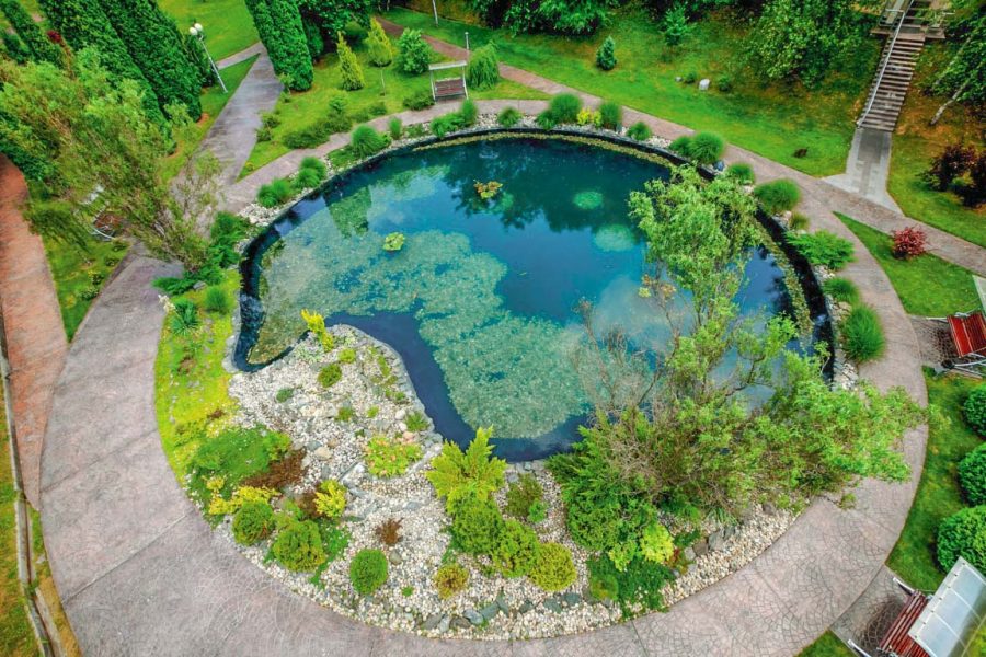 Пруд в санатории Заря в городе Кисловодске - фотография