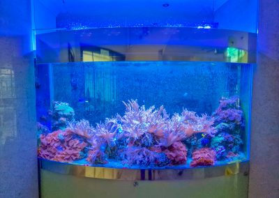 Аквариум в фитобаре в санатории Заря в городе Кисловодске - фотография