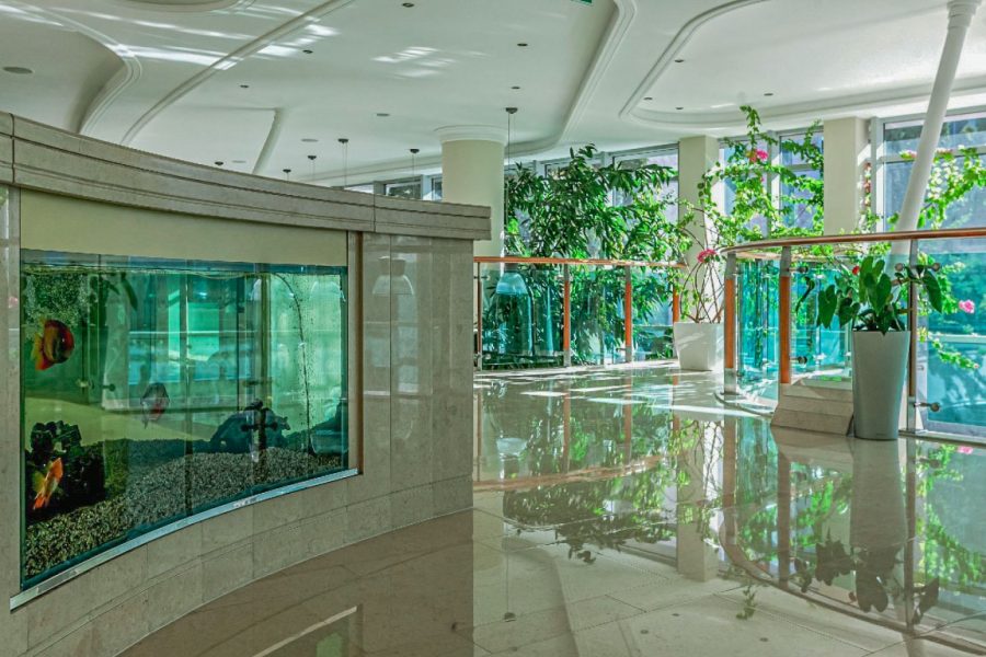 Холл в санатории Заря в городе Кисловодске - фотография