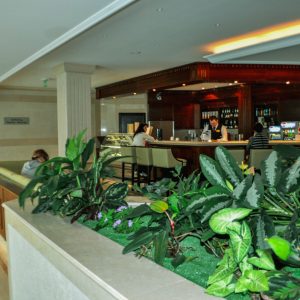 Лобби бар в санатории Заря в городе Кисловодске - фотография