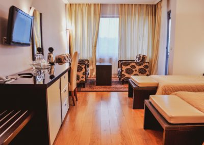 Двухместный номер в санатории Заря в городе Кисловодске - фотография