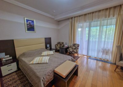 Одноместный номер в санатории Заря в городе Кисловодске - фотография