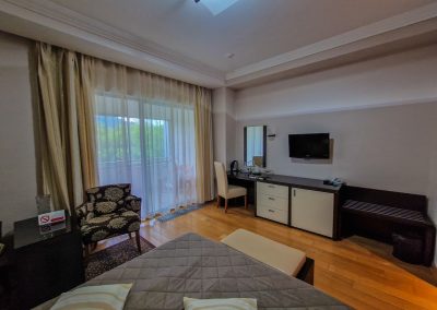 Одноместный номер в санатории Заря в городе Кисловодске - фотография