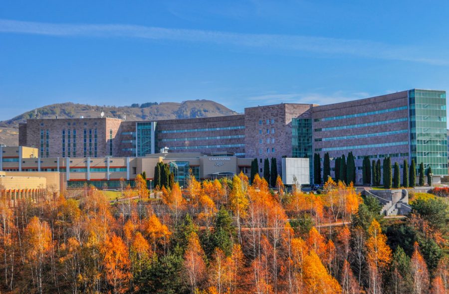 Санатории Заря в городе Кисловодске - фотография