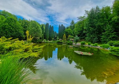 Пруд в санатории Заря в городе Кисловодске - фотография