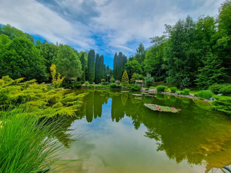 Пруд в санатории Заря в городе Кисловодске - фотография