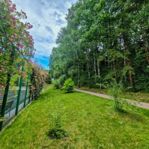 Территория в санатории Заря в городе Кисловодске - фотография