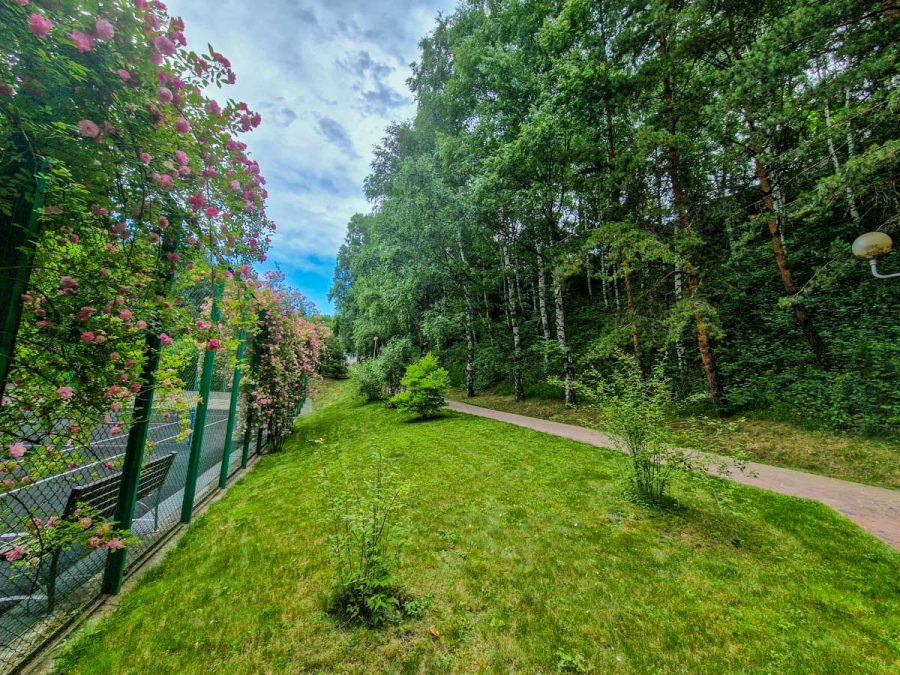 Территория в санатории Заря в городе Кисловодске - фотография