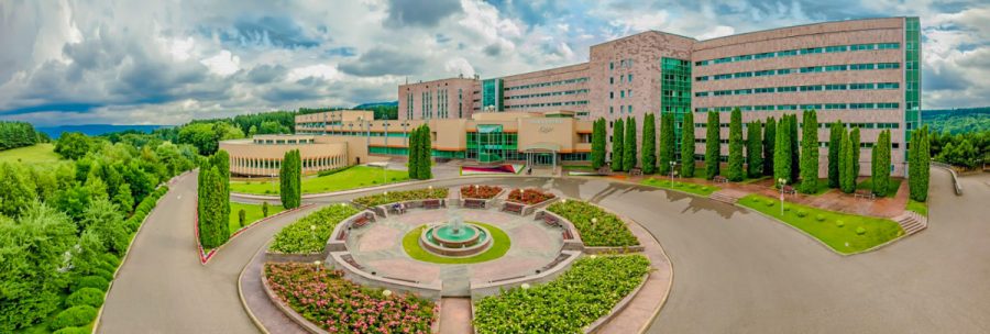 Фонтан в санатории Заря в городе Кисловодске - фотография