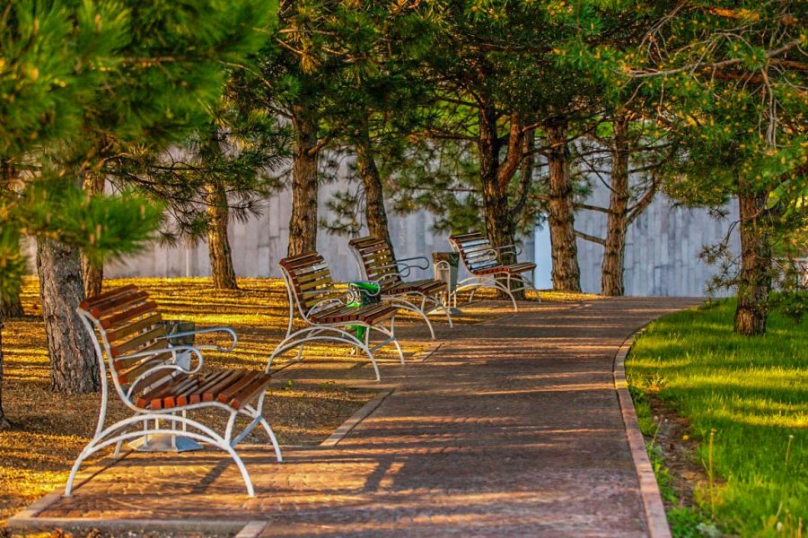 Территория в санатории Заря в городе Кисловодске - фотография