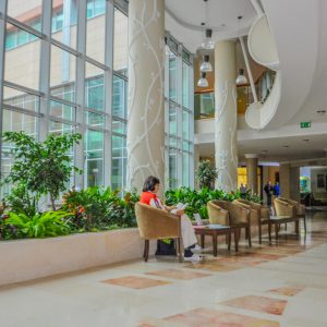 Зимний сад в санатории Заря в городе Кисловодске - фотография