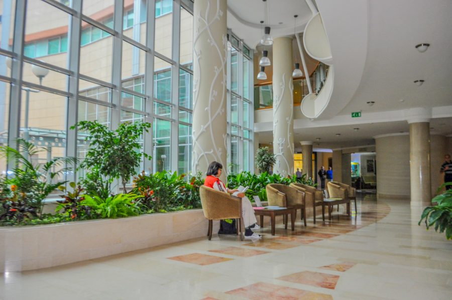 Зимний сад в санатории Заря в городе Кисловодске - фотография