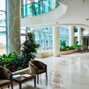 Зимний сад в санатории Заря в городе Кисловодске - фотография