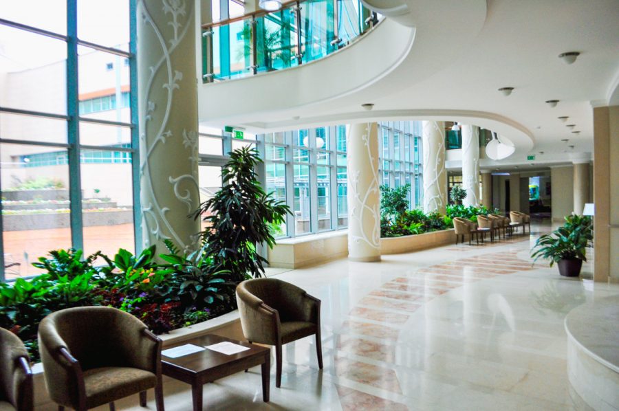 Зимний сад в санатории Заря в городе Кисловодске - фотография