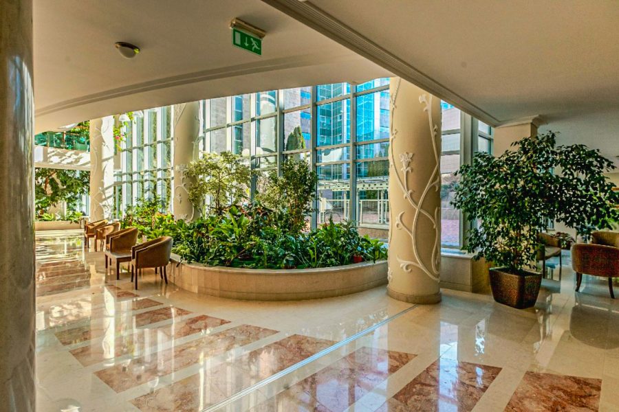 Зимний сад в санатории Заря в городе Кисловодске - фотография